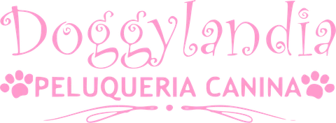 Logotipo de Isabel Prieto, cliente de Naxa Digital